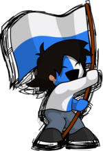 Soccer
				fan with a flag.